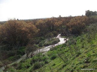 lle del Simeto-24-02-2013 10-26-13